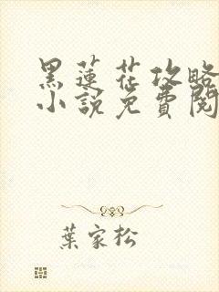 黑莲花攻略手册小说免费阅读封面