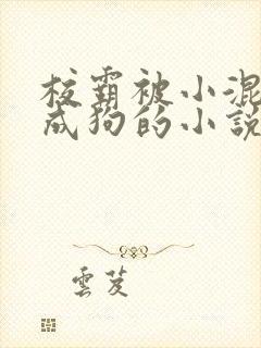 校霸被小混调练成狗的小说免费阅读