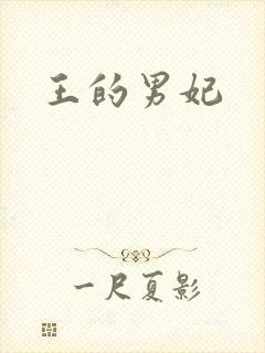 王的男妃封面