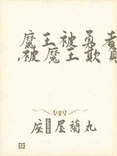 魔王被勇者攻了,被魔王欺负了是什么