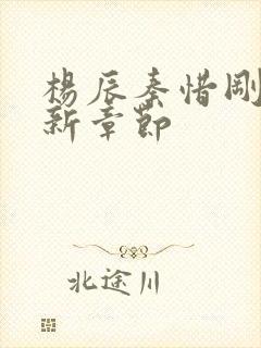 杨辰秦惜刚刚更新章节