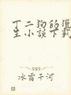 丁二狗的猎艳人生小说下载封面