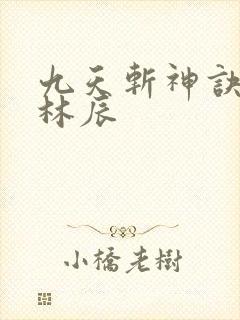 九天斩神诀免费林辰