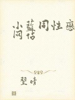 小蓝同性恋视频网站