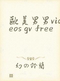 欧美男男videos gv free封面