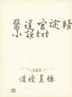 医道官途精校版小说txt