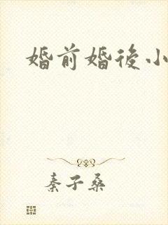 婚前婚后小说封面