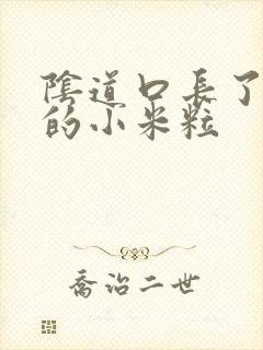 阴道口长了白色的小米粒