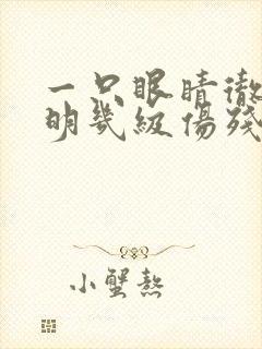 一只眼睛彻底失明几级伤残