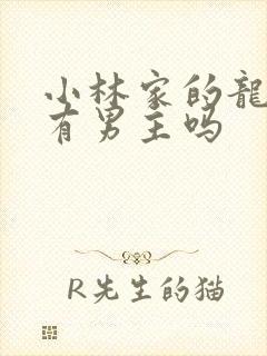 小林家的龙女仆有男主吗