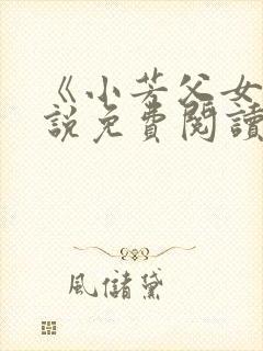 《小芳父女》小说免费阅读