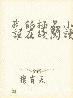 我的极品小姨小说在线阅读全文