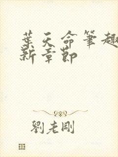 叶天命笔趣阁最新章节