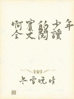 啊宾的少年在线全文阅读