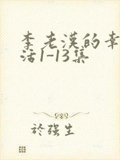 李老汉的幸福生活1-13集封面