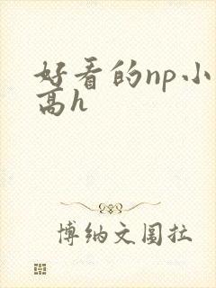好看的np小说高h封面