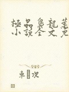 极品枭龙叶问天小说全文免费阅读