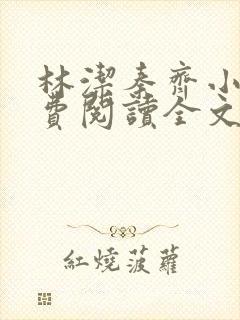 林洁秦齐小说免费阅读全文最新章节