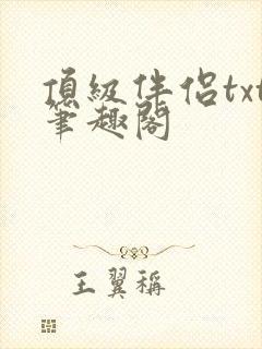 顶级伴侣txt笔趣阁