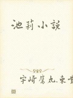 池莉小说