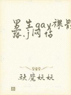 男生gay裸体露.j网站