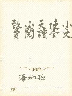 致小天使小说免费阅读全文无弹窗