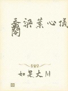 乔梁叶心仪笔趣阁