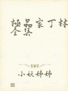 极品家丁林晚荣全集