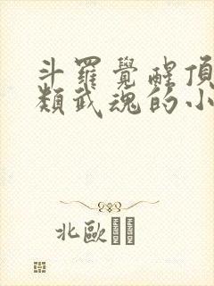 斗罗觉醒顶级剑类武魂的小说