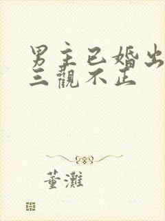 男主已婚出轨受三观不正