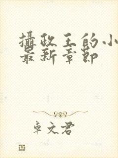 摄政王的小闲妻最新章节