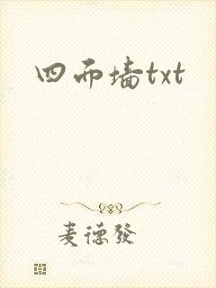 四面墙txt