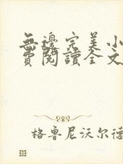 无边完美小说免费阅读全文最新章节