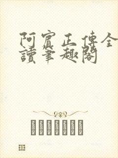 阿宾正传全文阅读笔趣阁封面