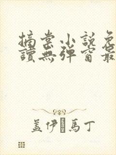 摘棠小说免费阅读无弹窗最新章节