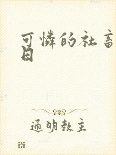 可怜的社畜东度日