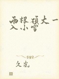 两根硕大一起挤入小雪