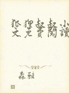 狐狸叔叔小说全文免费阅读无删减封面