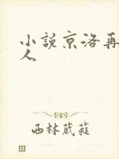 小说京洛再无佳人