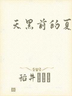 天黑前的夏天