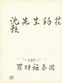 沈先生的花式管教