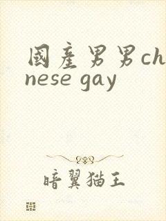 国产男男chinese gay封面