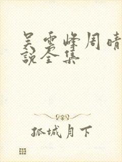 吴云峰周晴的小说全集