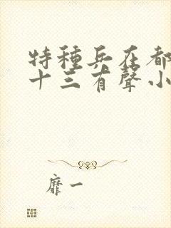 特种兵在都市夜十三有声小说封面