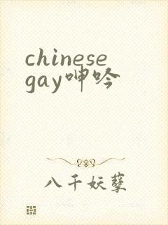 chinesegay呻吟