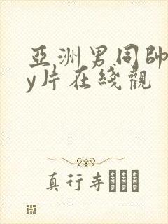 亚洲男同帅gay片在线观