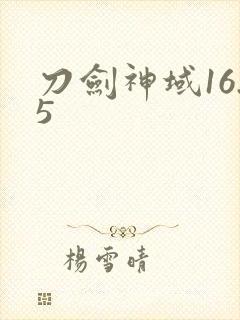 刀剑神域16.5