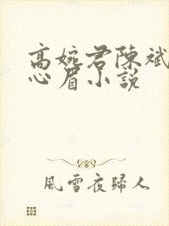 高婉君陈斌和赵心眉小说