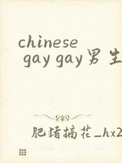 chinese gay gay男生互操网站