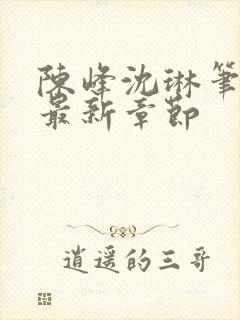 陈峰沈琳笔趣阁最新章节